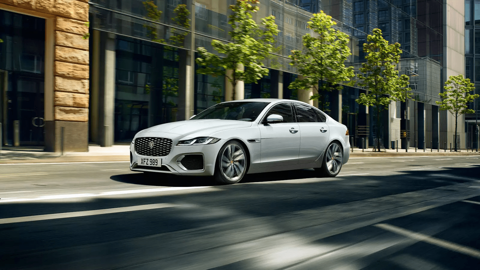 jaguar indonesia (2)